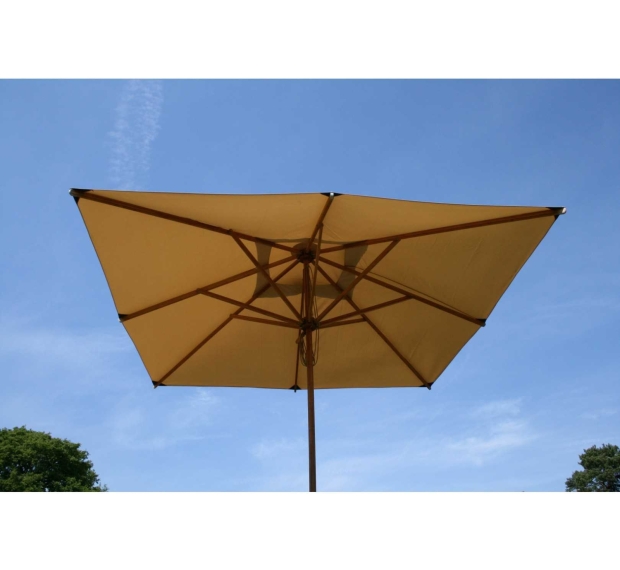 SUN UMBRELLA