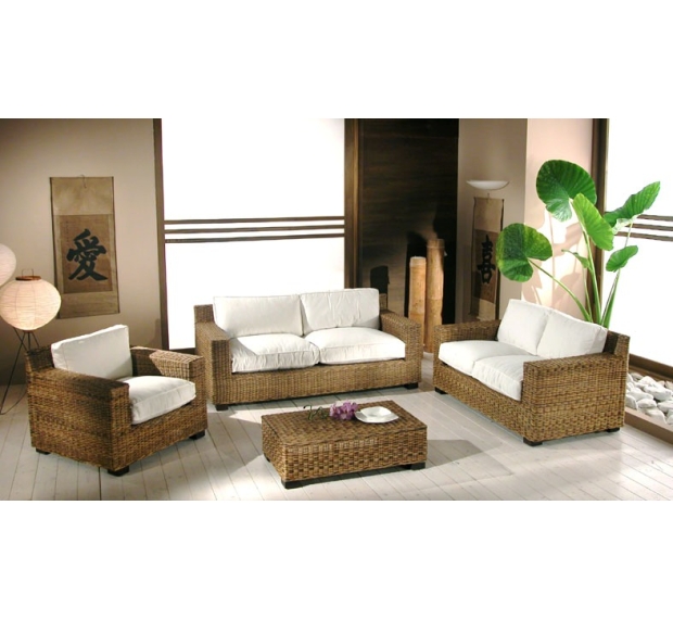 WATER HYACINTH SOFA SET