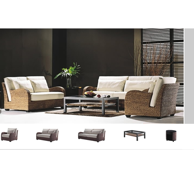 WATER HYACINTH SOFA SET