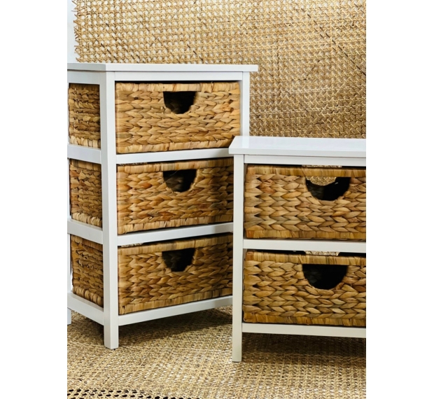 Water Hyacinth Cabinet WHCA-TBD 2NA
